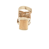 194234-C.PNG