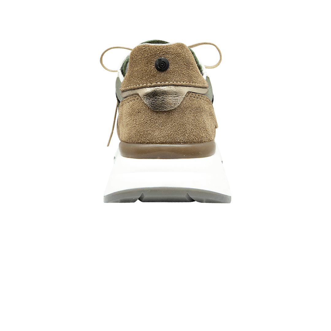 194888-C.PNG