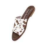 195034-B.PNG
