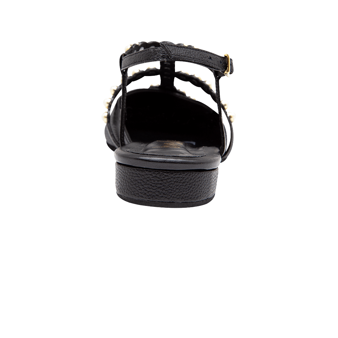 195550-C.PNG