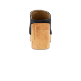 196316-C.PNG