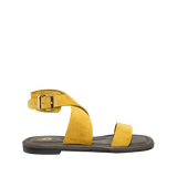 196628-A.PNG