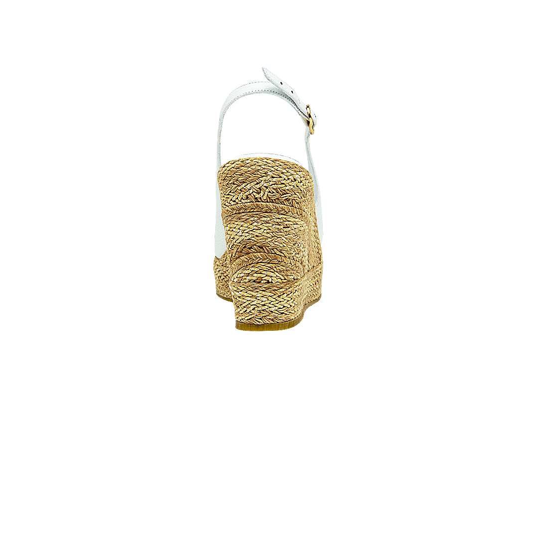 196636-C.PNG