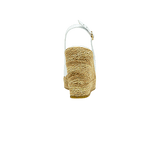 196636-C.PNG