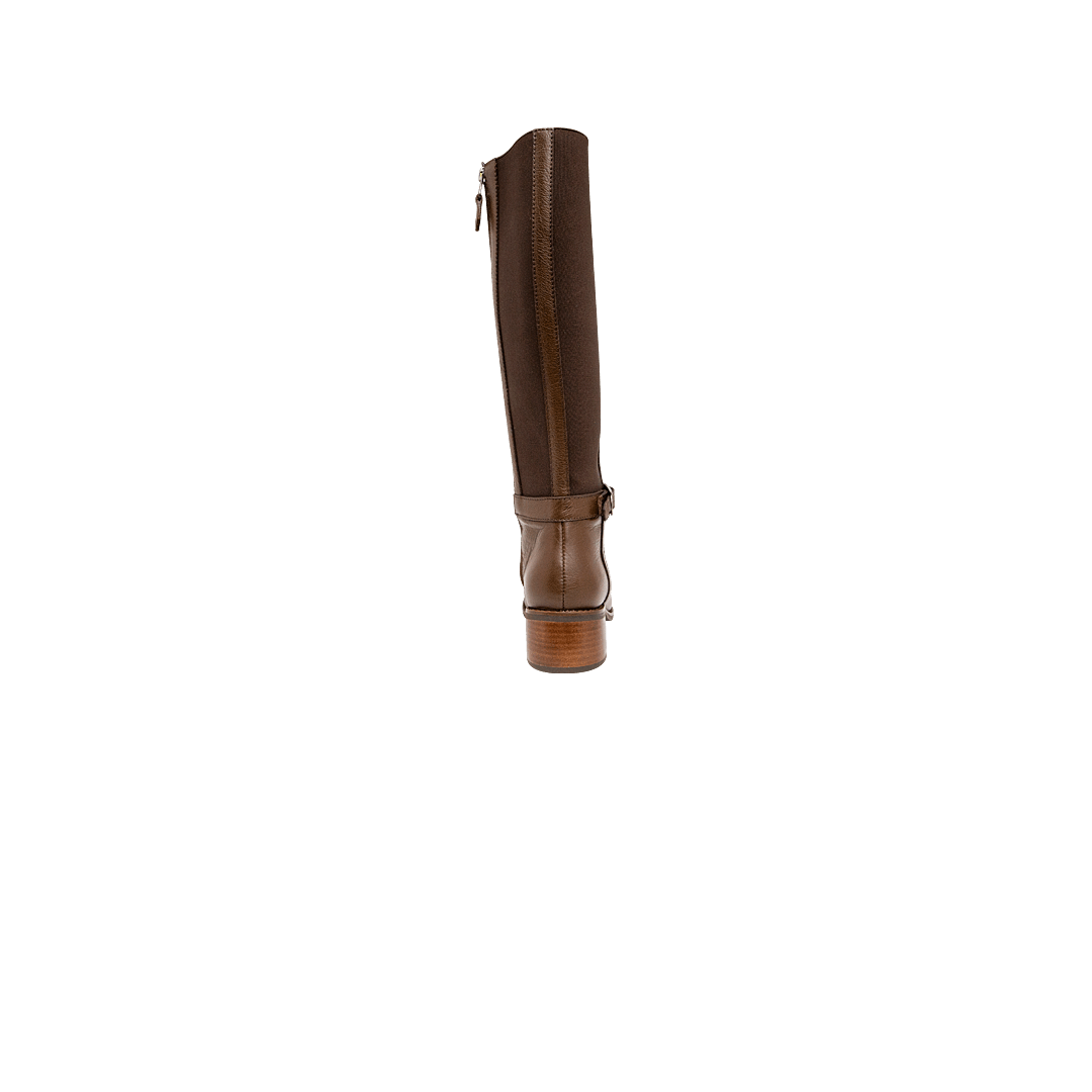194897-C.PNG
