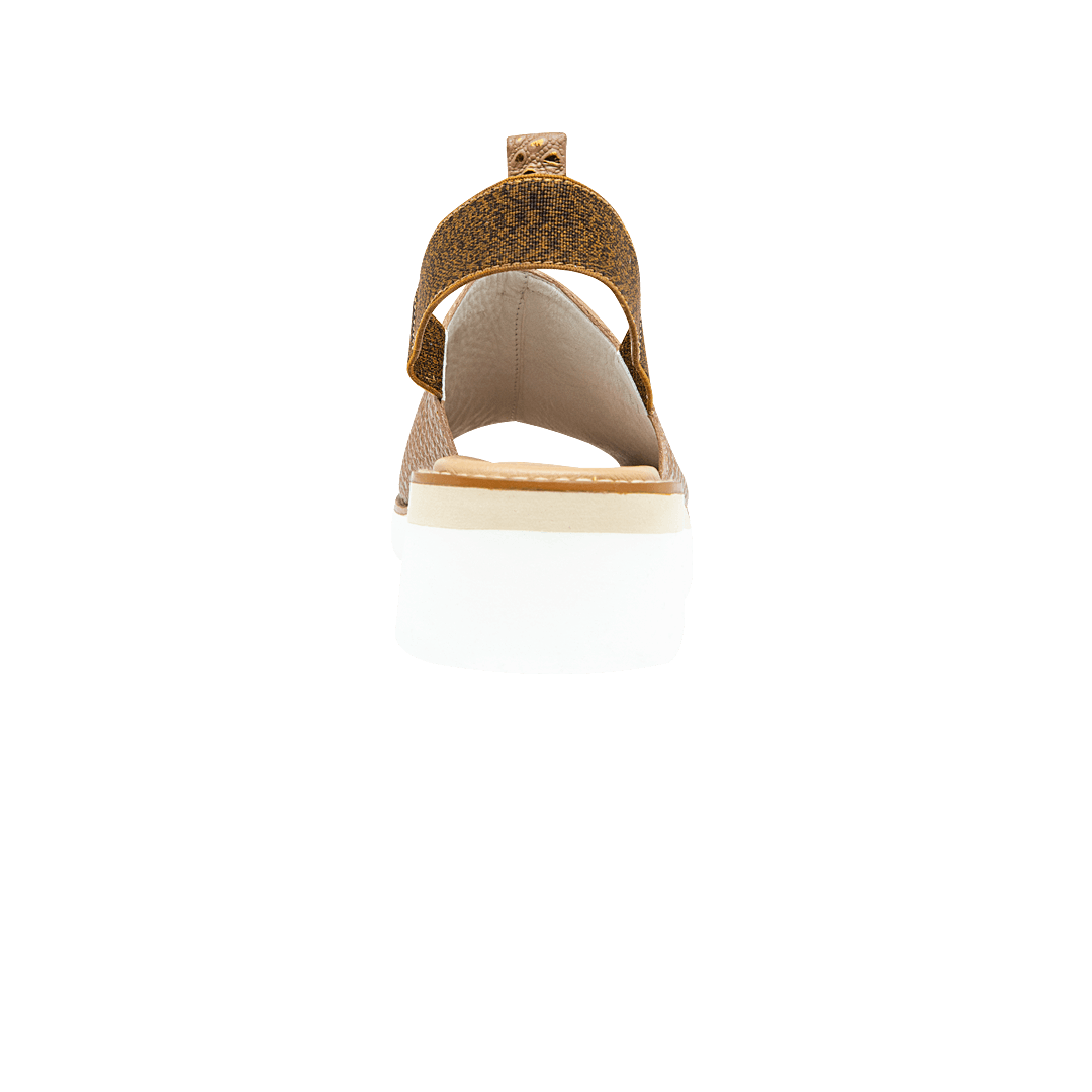 195224-C.PNG