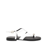 196416-A.PNG