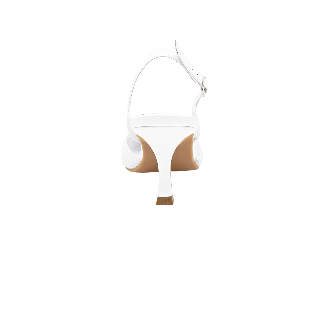 196514-C.PNG
