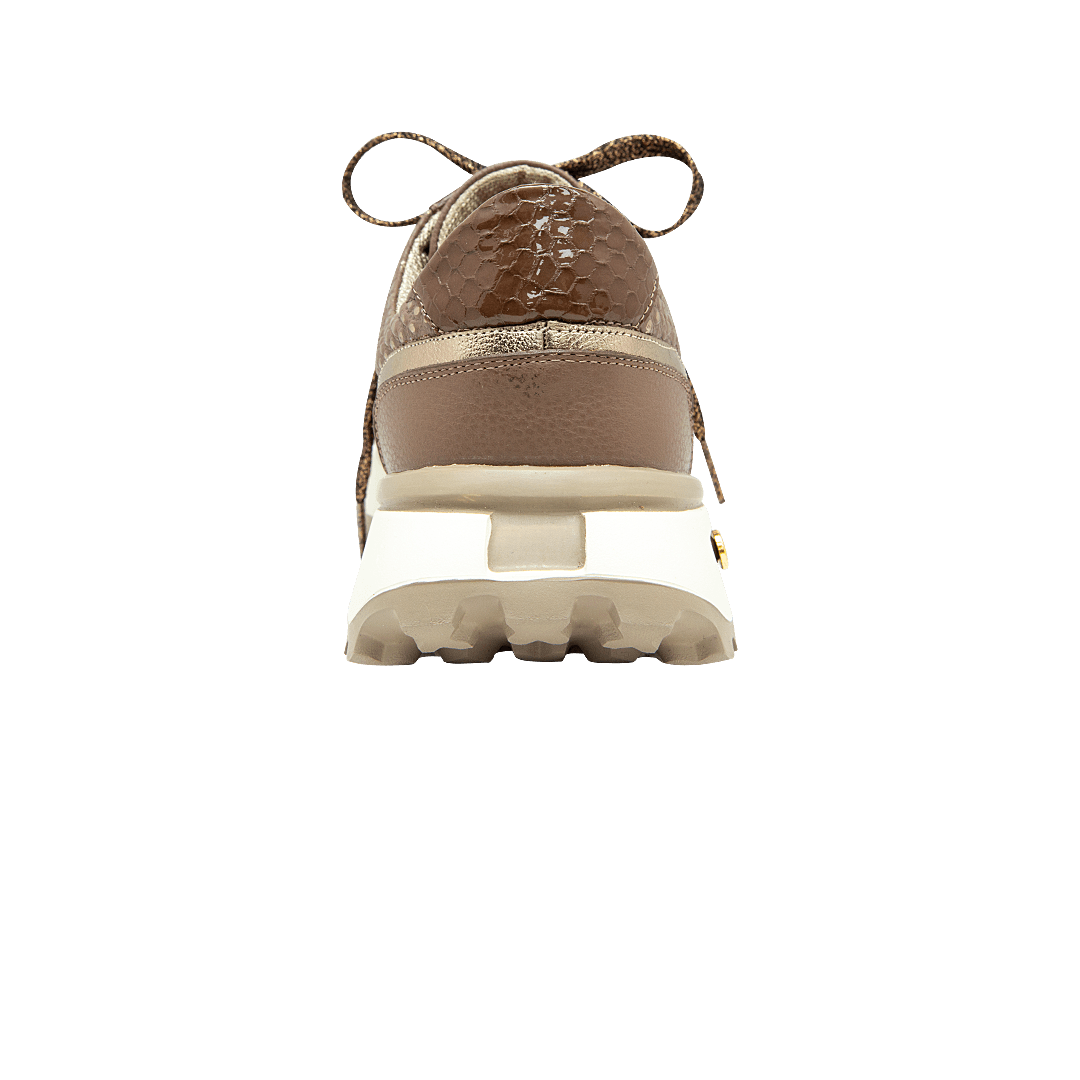 196575-C.PNG
