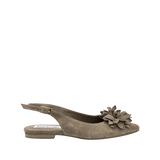 196911-A.PNG