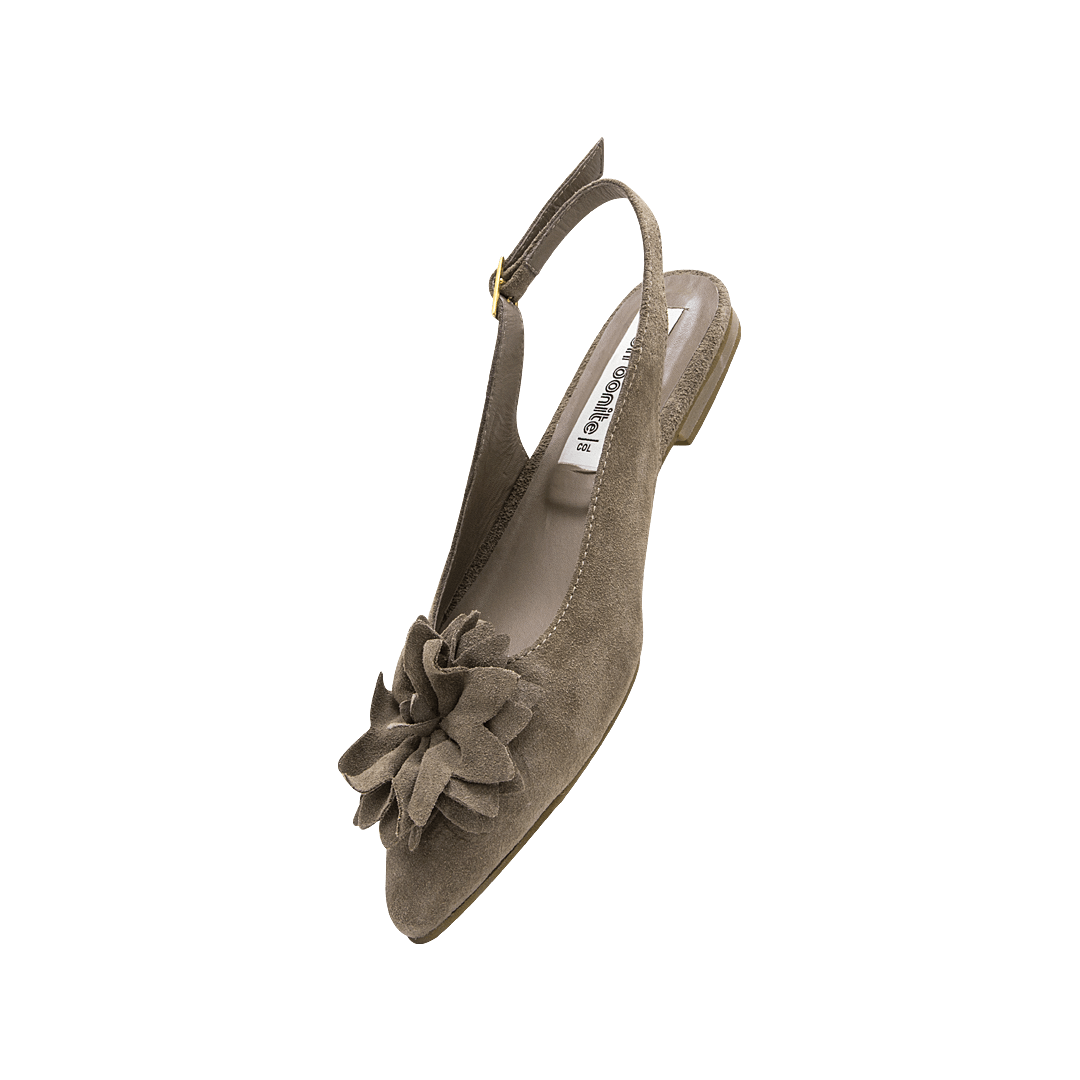 196911-B.PNG