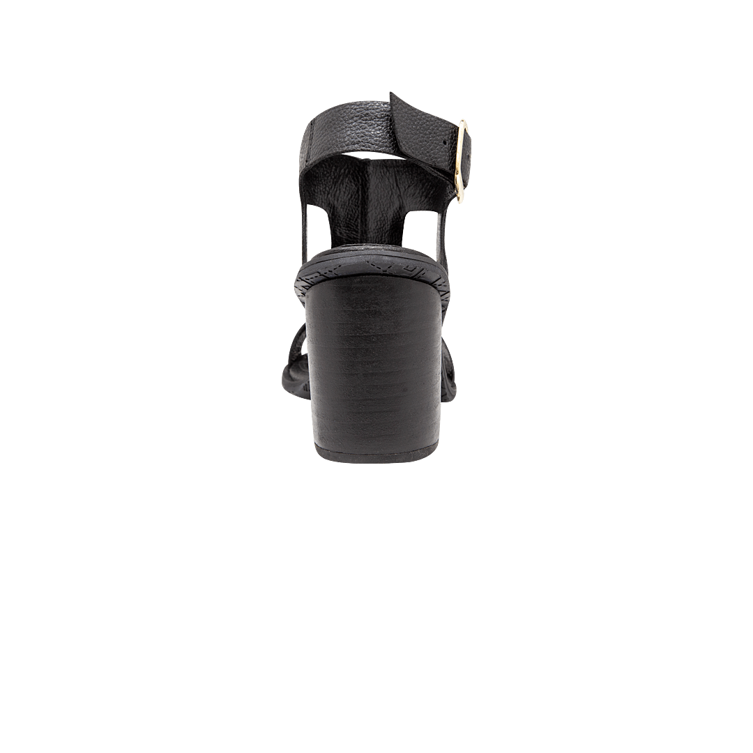 197575-C.PNG