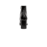 197636-C.PNG