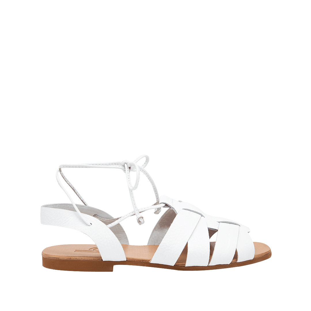 197764-A.PNG