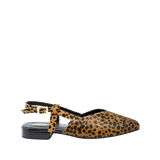 197959-A.PNG