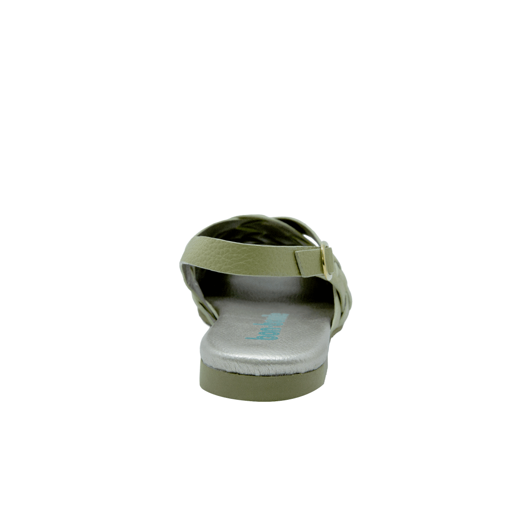 198238-C.PNG