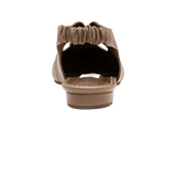 198461-C.PNG