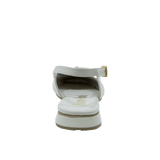 198586-C.PNG