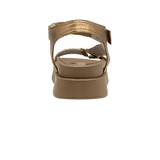 198657-C.PNG