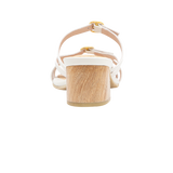 198770-C.PNG