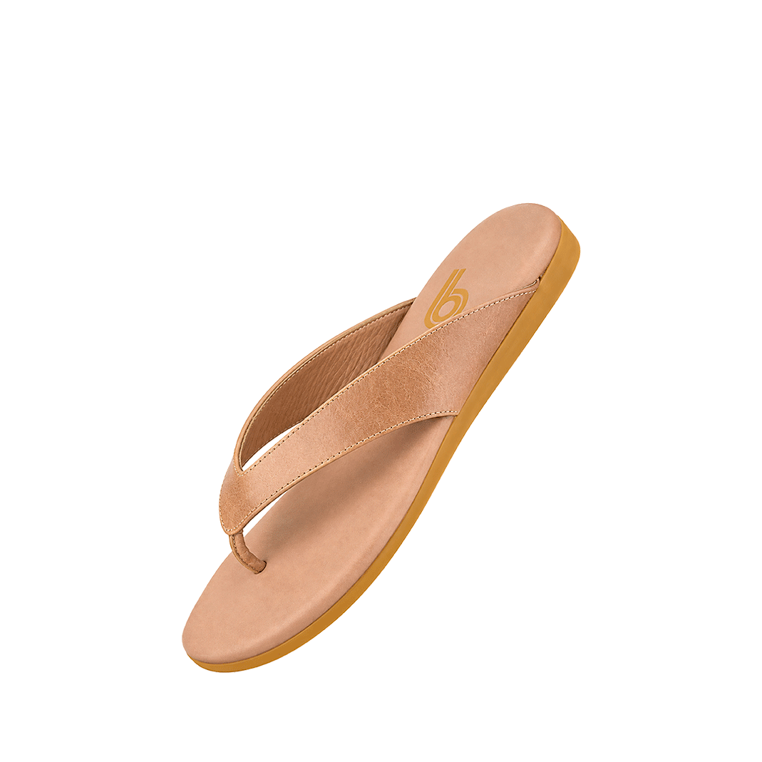 199234-B.PNG