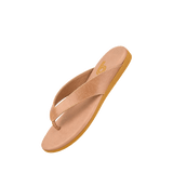 199234-B.PNG