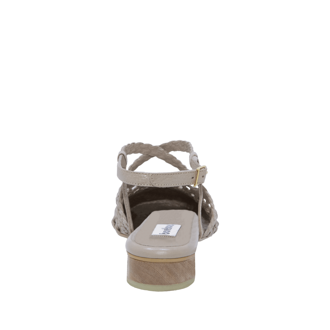 199237-C.PNG