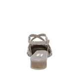 199237-C.PNG