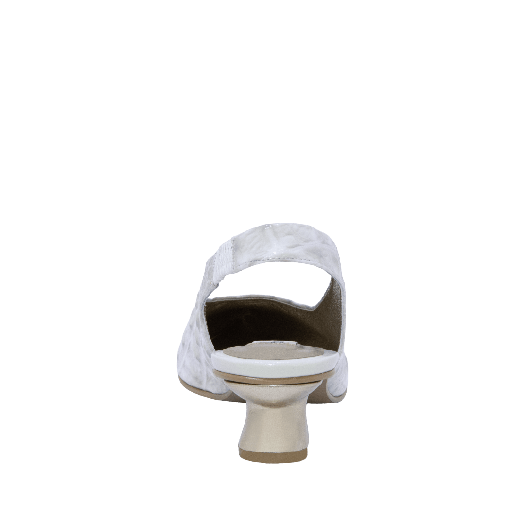 199874-C.PNG
