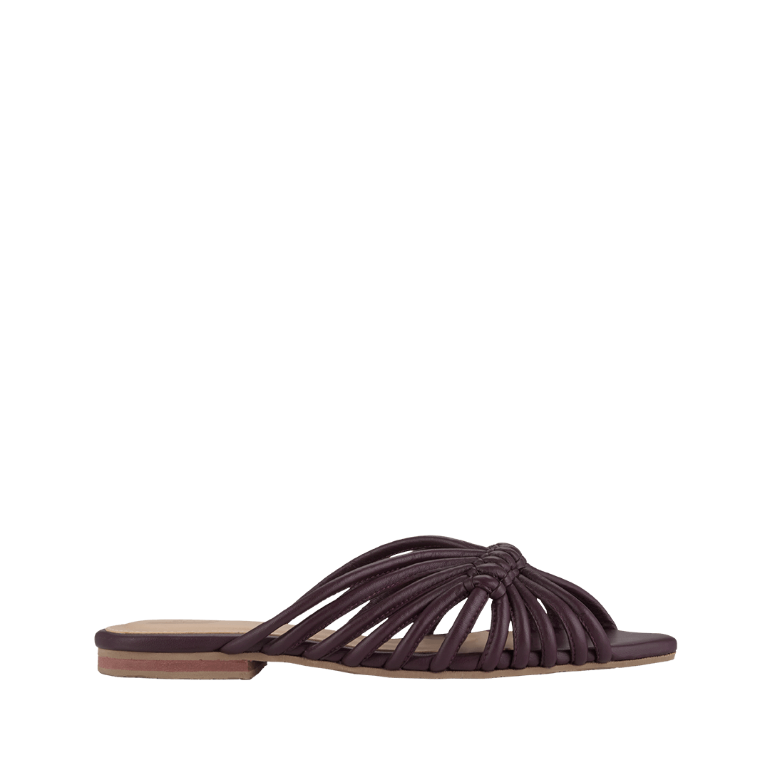 200216-A.PNG